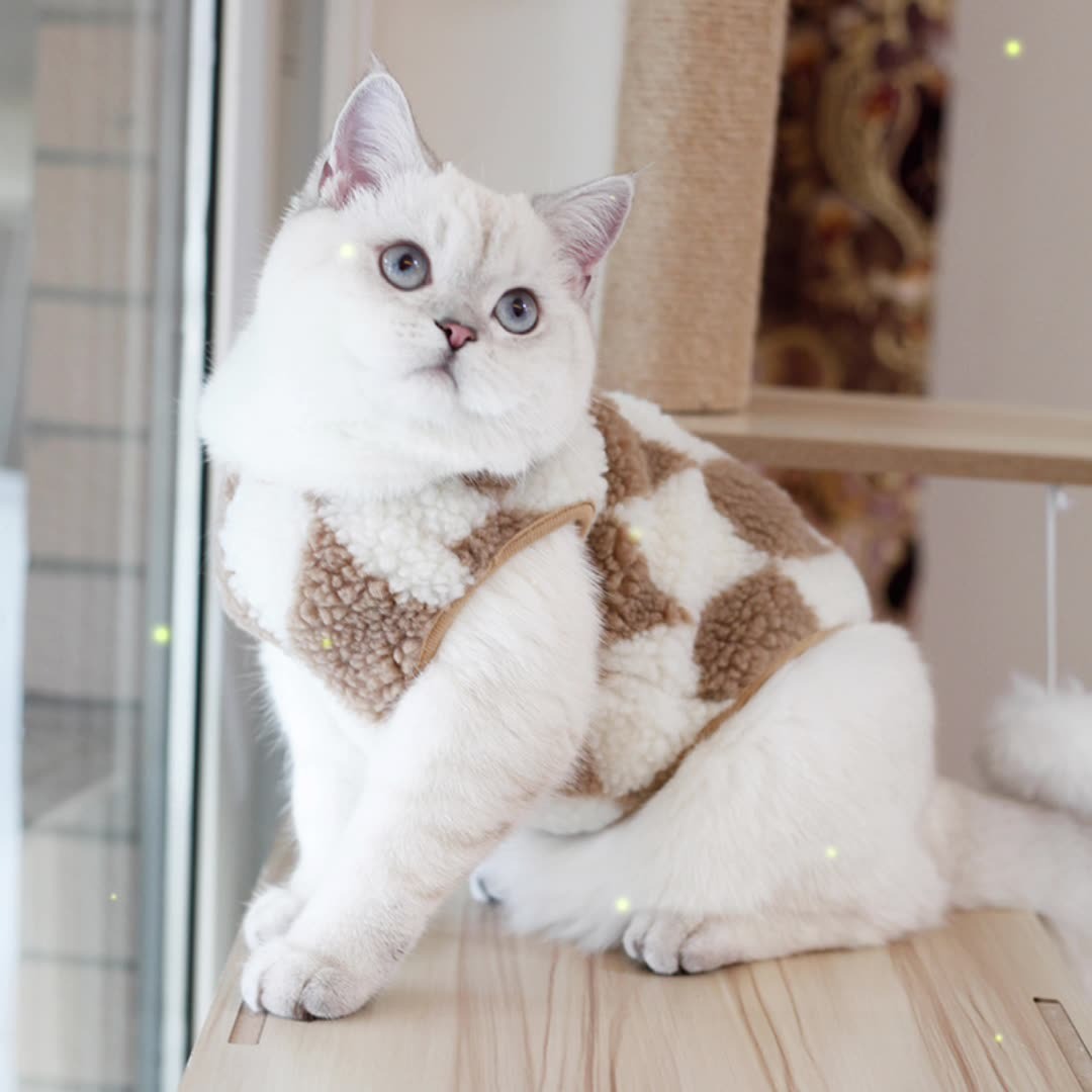 Autumn And Winter Clothes Dog Vest Winter Warm Pet Clothes Cats Two Feet Diamond Plaid Fleece Coat New